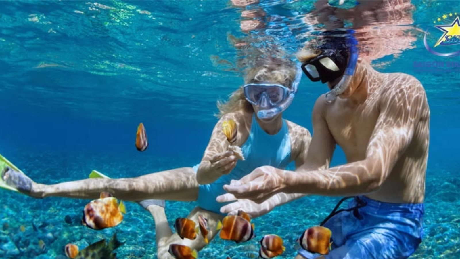 Tour Snorkeling to Hon Mun Coral Reef
